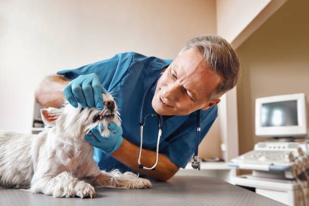 Best Emergency Tooth Extraction in Huntsville, TX